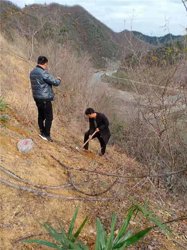 &#113;&#121;&#21315;&#20159;&#45;&#113;&#121;&#21315;&#20159;&#40;&#20013;&#22269;&#41;&#19968;&#31449;&#24335;&#26381;&#21153;&#23448;&#26041;&#32593;&#31449;