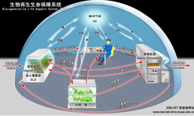 &#113;&#121;&#21315;&#20159;&#45;&#113;&#121;&#21315;&#20159;&#40;&#20013;&#22269;&#41;&#19968;&#31449;&#24335;&#26381;&#21153;&#23448;&#26041;&#32593;&#31449;