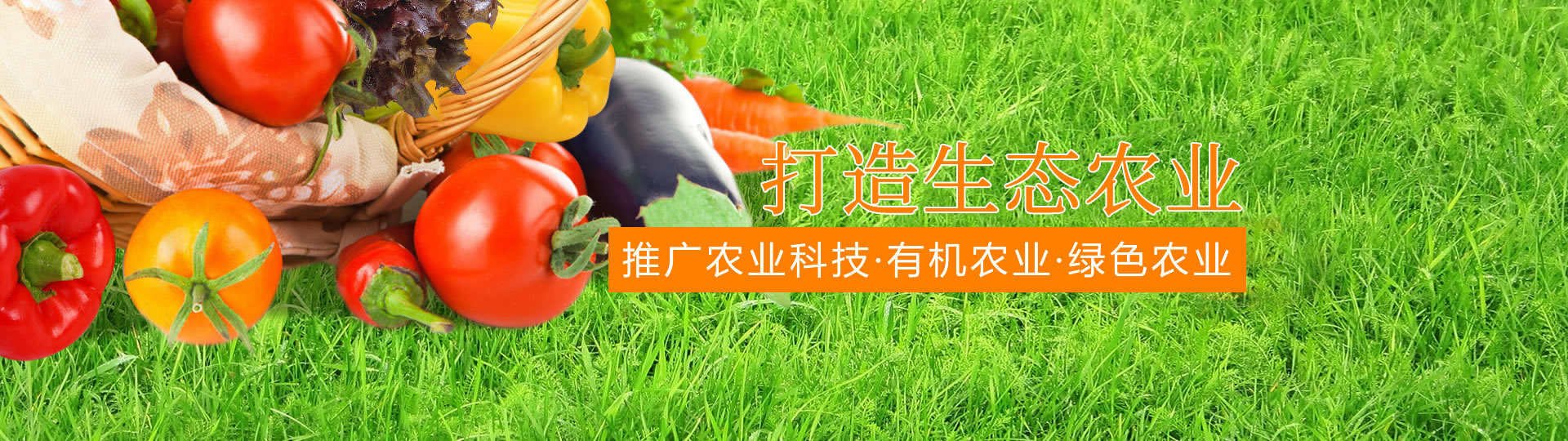 &#113;&#121;&#21315;&#20159;&#45;&#113;&#121;&#21315;&#20159;&#40;&#20013;&#22269;&#41;&#19968;&#31449;&#24335;&#26381;&#21153;&#23448;&#26041;&#32593;&#31449;